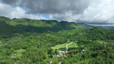 Orman tropikal dağı Manghilao Corte ve Triumfo köyü insanları fakir Cebu insansız hava aracı evi egzotik biyoçeşitlilik bitkileri ve hayvanları, endemik türler dağları, iklim, Saccharum işyeri kuru kuru