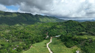 Tropikal orman dağı Manghilao Corte Dağı ve Triumfo köyü insanları fakir ev şekerkamışı Cebu insansız hava aracı Filipinler 'in egzotik biyolojik çeşitlilik bitkileri ve hayvanları, endemik türler dağları, orman iklimi, Saccharum işyeri kuru.