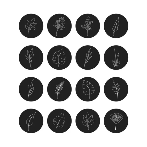 手工绘制的矢量集勾勒出热带树叶和花朵的圆形轮廓 社交媒体故事以时髦的线性风格突出报道 — 图库矢量图片