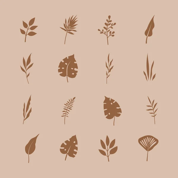 热带抽象叶和植物区系组成的各种剪影分枝的矢量手绘集合 色泽柔和 — 图库矢量图片