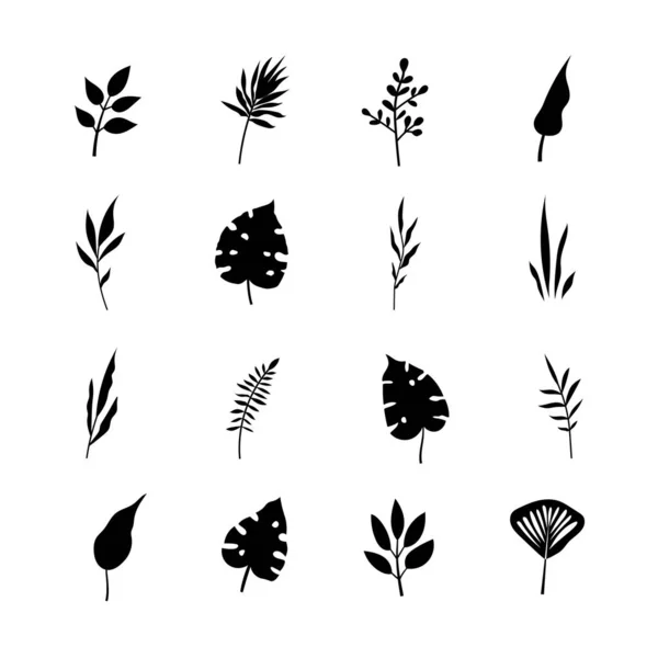 Ensemble Branches Arbres Eucalyptus Feuilles Palmier Herbes Fleurs Silhouettes — Image vectorielle