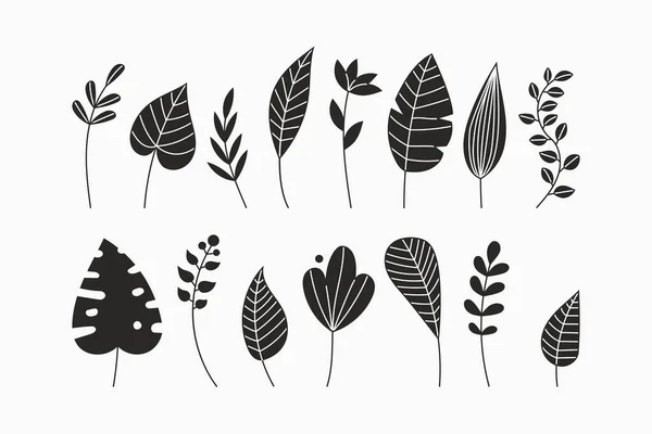 Simple Floral Vector Drawing Set Twigs Leaves Herbs Branch Black — Stock Vector