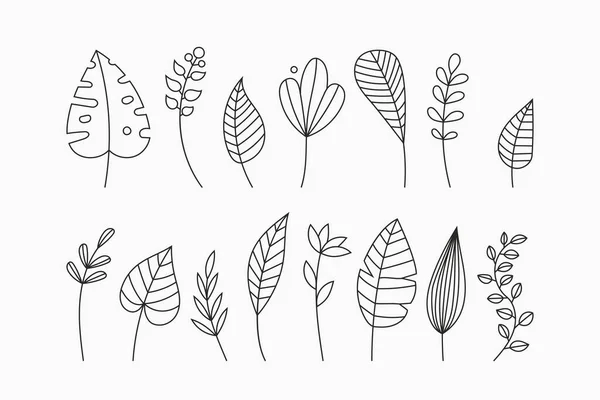 热带树叶呈涂鸦状 矢量手绘黑线设计元素 异国情调的夏季植物图解 Monstera叶 香蕉叶 — 图库矢量图片