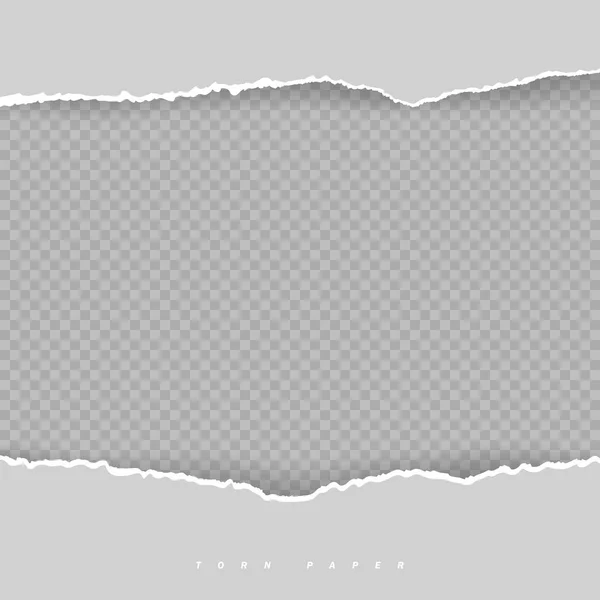 Τετράγωνο Σκισμένο Οριζόντιο Γκρι Χαρτί Για Κείμενο Μήνυμα Είναι Λευκό — Διανυσματικό Αρχείο