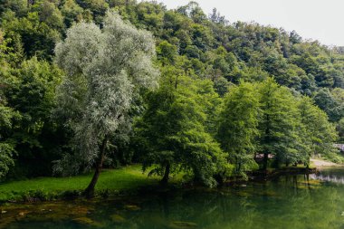 Koratia, Slunj 'daki ünlü Rastoke köyünde güzel bir şelale..