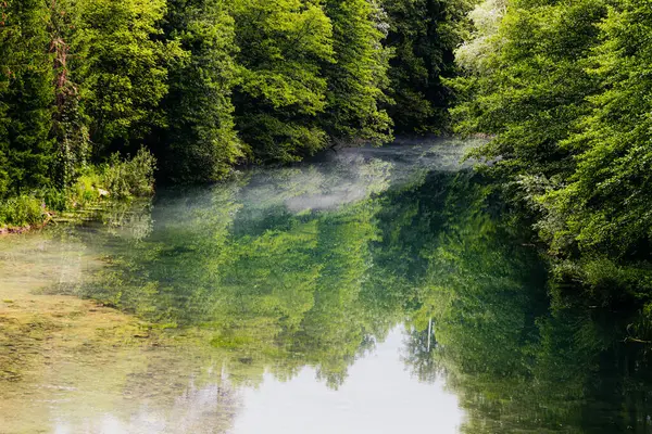 Koratia, Slunj 'daki ünlü Rastoke köyünde güzel bir şelale..