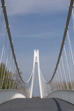 Drava Nehri üzerindeki yaya köprüsü ve Hırvatistan 'ın Osijek kentinin ufuk çizgisi