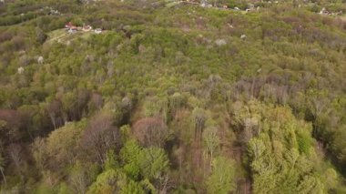 Orman manzarası ve baharda küçük bir köy.