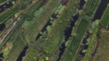 Hırvatistan 'ın Güney Dalmaçya kenti Ploce yakınlarındaki Neretva delta vadisi nehrinin öntanımlı hava görüntüsü. 