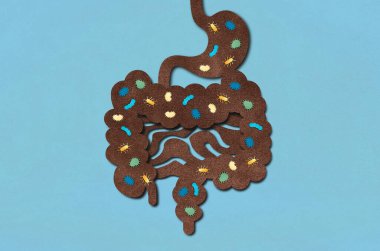 İnsan Bağırsağı Mikrobiyotası - İnsan Gastrobağırsağında Yaşayan Mikroorganizmalar - Kavramsal İllüstrasyon