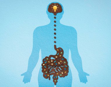 The Gut-Brain Axis - The Integration Between the Central Nervous System and the Gastrointestinal Tract - Conceptual Illustration clipart