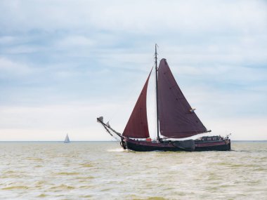 IJSSELMEER, NETHERLANDS - 19 SEP 2021: Geleneksel yelken mavnası, tjalk, kahverengi yelkenli gölde