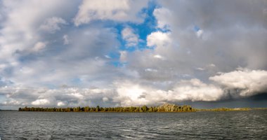 Ketelmeer Gölü, Flevoland, Hollanda 'daki Kattenplaat doğa manzarası