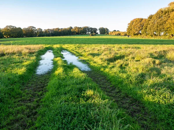 Kałuża Wody Ślady Opon Łąki Wieś Pobliżu Ootmarsum Overijssel Holandia — Zdjęcie stockowe