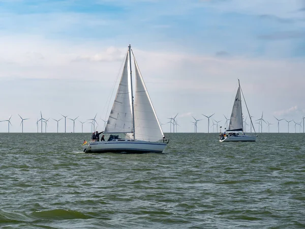 Ijsselmeer Netherlands Sep 2021 People Sailboats Sailing Ijsselmeer Lake Windpark — Stock Photo, Image