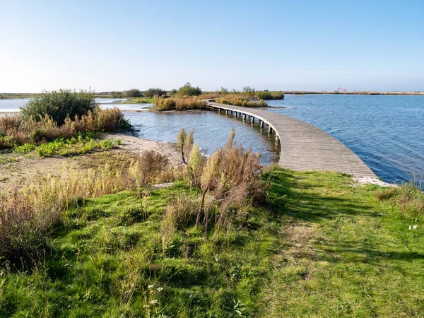Wandelpad Houten Promenade Van Wandelpad Door Wetlands Van Marker Wadden — Stockfoto