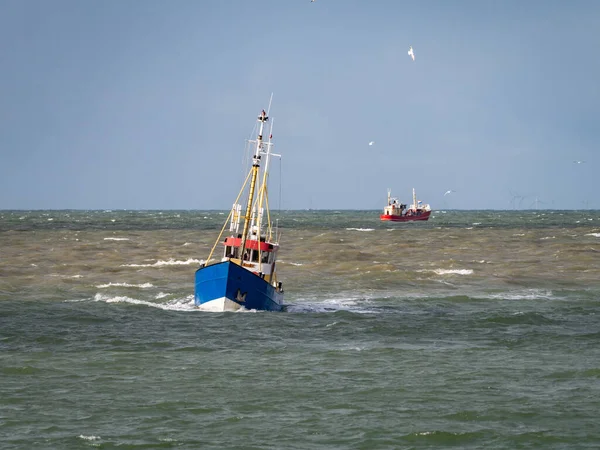 Гагуе Нітерланди Жовтня 2021 Маленький Рибальський Човен Хвилях Біля Входу — стокове фото