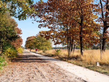 KOOTWIJK, NETHERLANDS - 28, 2021: İnsanlar Kootwijk, Gelderland yakınlarındaki doğada sonbaharda bisiklet yolunda bisiklet sürüyorlar