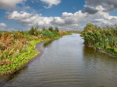 Marshland with creek, marsh vegetation, mud flats and sheltered, shallow water on Marker Wadden island, Netherlands clipart