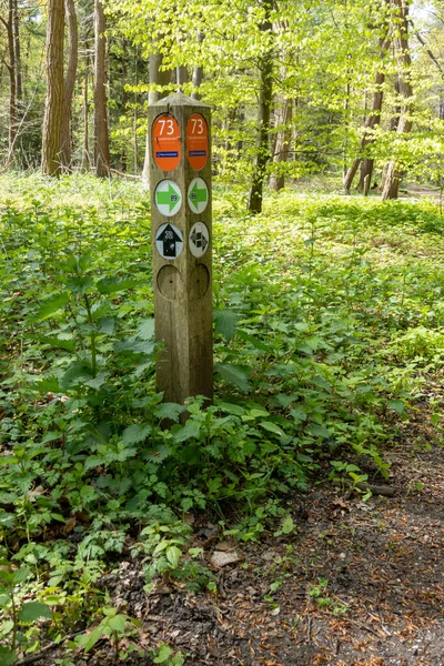 Corversbos, Hilversum, Hollanda 'da yürüyüş güzergahı işaretleri olan postalar.