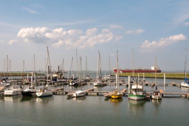 TERNEUZEN, NETHERLANDS - 19 Haziran 2023: Westerschelde, Zeeuws-Vlaanderen, Zeeland, Hollanda, Hollanda boyunca Terneuzen marinasında yelkenliler