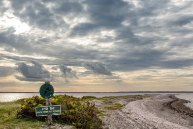 Livo Tap, Livo Adası 'nın en güney noktası Limfjord, Kuzey Jutland, Danimarka