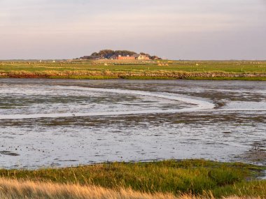 Backenswarft, Hallig Hooge 'da siper, Kuzey Frisia, Schleswig-Holstein, Almanya