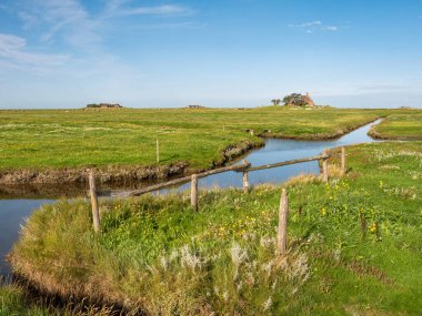 Grode-Appelland Hallig 'deki Flatboat mavnası ve Knudtswarft warft, Kuzey Frisia, Schleswig-Holstein, Almanya