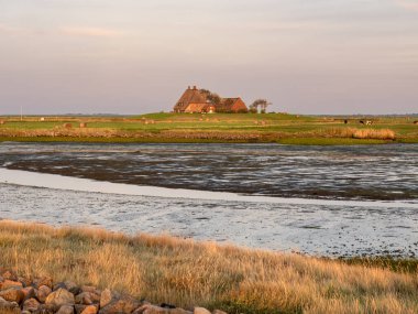 Kirchwarft, Hallig Hooge 'da siper, Kuzey Frisia, Schleswig-Holstein, Almanya