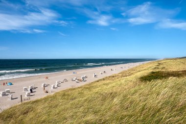 Sylt, Almanya - Sep 4, 2023: Hoernum sahilindeki Sylt Adası Kuzey Denizi kıyısı, Kuzey Frizya, Holstein-Holstein