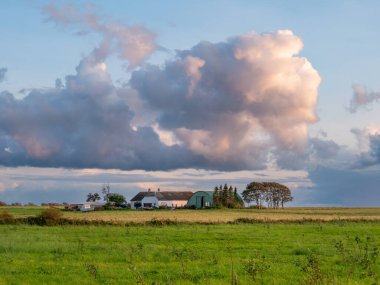 Tuno Adası, Midtjylland, Danimarka 'da çayırlarla çevrili çiftlik evi ve ahır.