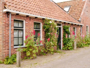 Ezinge, Hollanda - 4 Temmuz 2024: Eski Ezinge kasabası, Westerkwartier, Groningen 'deki cephesi boyunca gülhatları olan tarihi eski ev