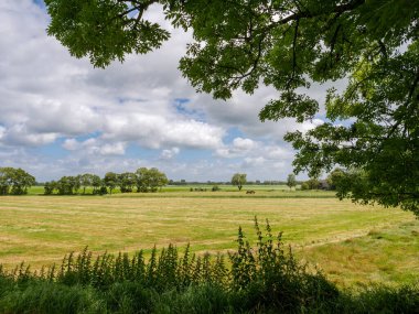 Polder landscape with dry grassland on sunny summer day near Ezinge, Westerkwartier, in Groningen, Netherlands clipart