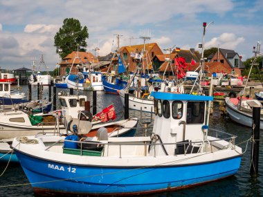Maasholm, Almanya - 23 Temmuz 2024: Schlei Fjord boyunca Maasholm limanında demirlemiş küçük balıkçı tekneleri, Schleswig-Holstein