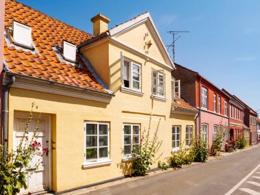 Svendborg, Danimarka - 1 Ağustos 2024: Güney Danimarka 'nın Funen kentindeki Skattergade caddesinde Hollyhocks kuyruklu renkli evler
