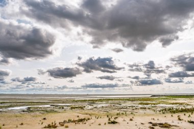 Aşağı Saksonya Wadden Denizi Ulusal Parkı 'ndaki Juist' in güneyindeki gelgit düzlükleri ve tuz bataklıkları manzarası Unesco Dünya Mirası 'nın el değmemiş sulak arazilerine sahip.