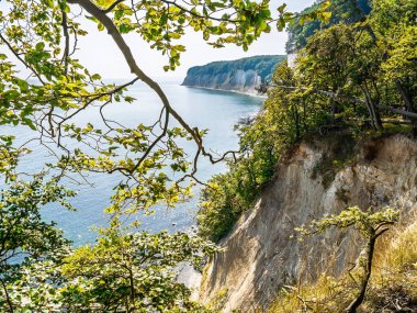 Almanya 'da Jasmund Ulusal Parkı, Ruegen, Mecklenburg-Vorpommern' deki Hochuferweg yürüyüş yolu boyunca Baltık Denizi üzerinde yükselen Stubbenkammer 'in tebeşir kayalıkları