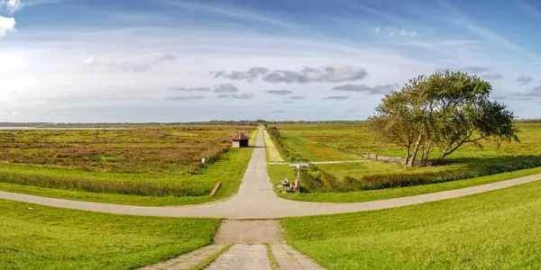 Salı gününün yakınlarındaki yeşil çayırlar ve sulak araziler boyunca bisiklet yolu Doğu Frizya adası Borkum, Almanya 'daki Aşağı Saksonya Wadden Denizi Ulusal Parkı' nda.