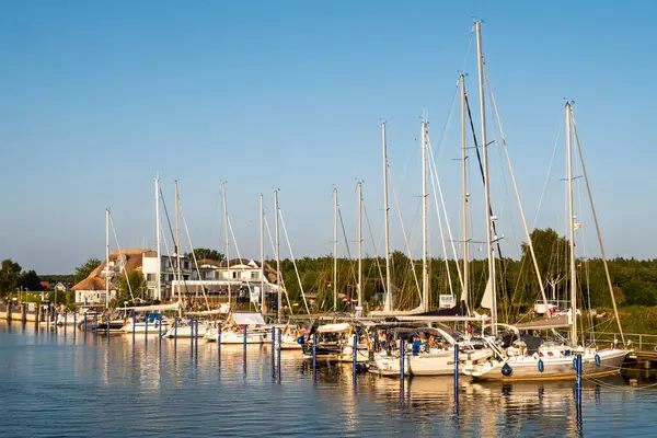 Baabe, Almanya - 24 Ağustos 2024: Baaber Bek kanalı, Moenchgut, Ruegen, Mecklenburg-Vorpommern boyunca demirlemiş yelkenli tekneleri ile Baabe Bollwerk doğal limanı