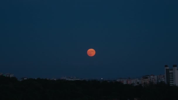 Красное Лунное Затмение Поднимается Над Городом Полнолуние Красном Оранжевом Оттенке — стоковое видео