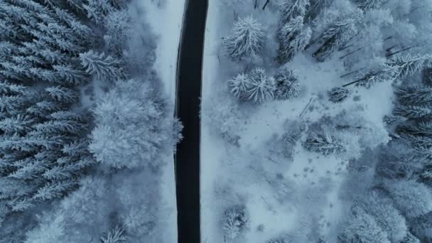 Cinematic Straight Drone Shot Asphalt Road Winter Landscape Snowy Forest — Αρχείο Βίντεο