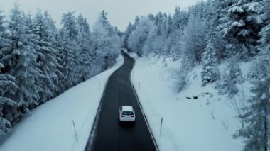 Epic view of car drive on empty road in snowy forest wonderland. Winter season scenery on cloudy cold day. Beautiful magical freezing nature. 