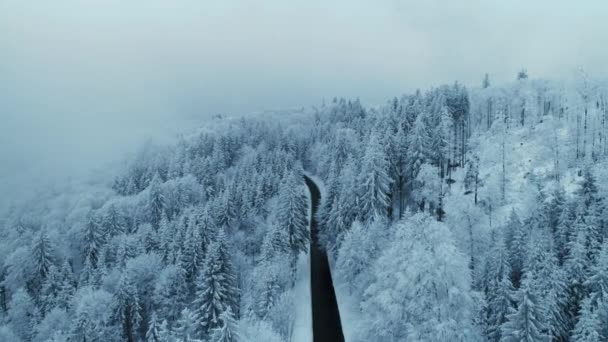 空の道路や雪の空中ドローンショット森の中の木を覆った 冬の季節に魔法と気分の風景 霧の日に白い凍結木の上 — ストック動画