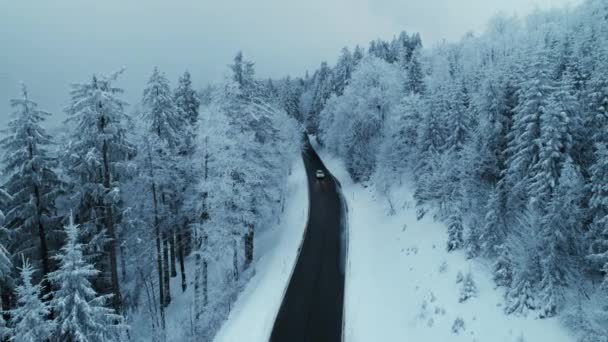 Epic View Car Drive Empty Road Snowy Forest Wonderland Cinematic — 비디오