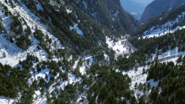 Кінематографічний Повітряний Дрон Стріляв Після Туристичного Поїзда Сніжному Гірському Ландшафті — стокове відео