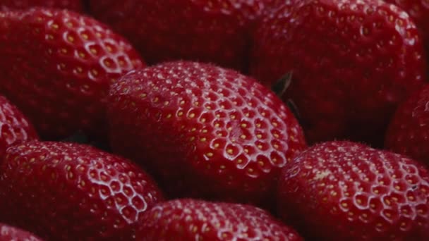 Close Ripe Delicious Strawberries Harvest Camera Slowly Moves Rows Colorful — Stockvideo