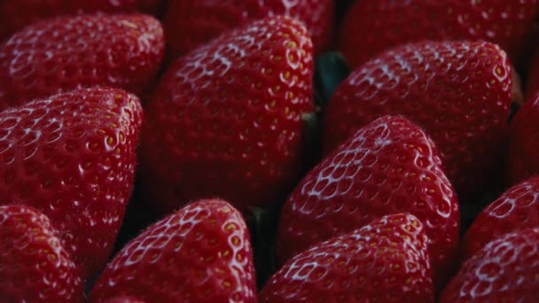 Close Female Hand Gently Put Juicy Red Strawberry Row Healthy — Video Stock