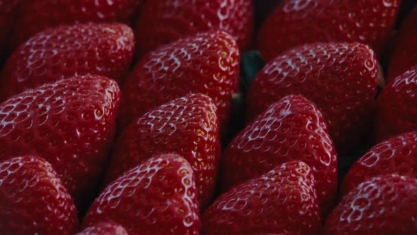 Dolly Zoom Out Macro Shot Ripe Tasty Strawberries Packed Presented — Stockvideo