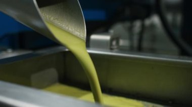 Raw olive oil pressed in industrial factory process, liquid unfiltered olive oil come out of machinery press