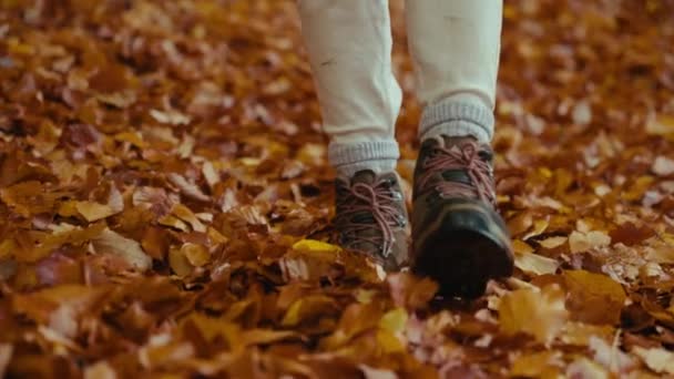 Hiking Boots Walk Fallen Autumn Foliage Leaves Walking Forest Warm — Vídeo de Stock